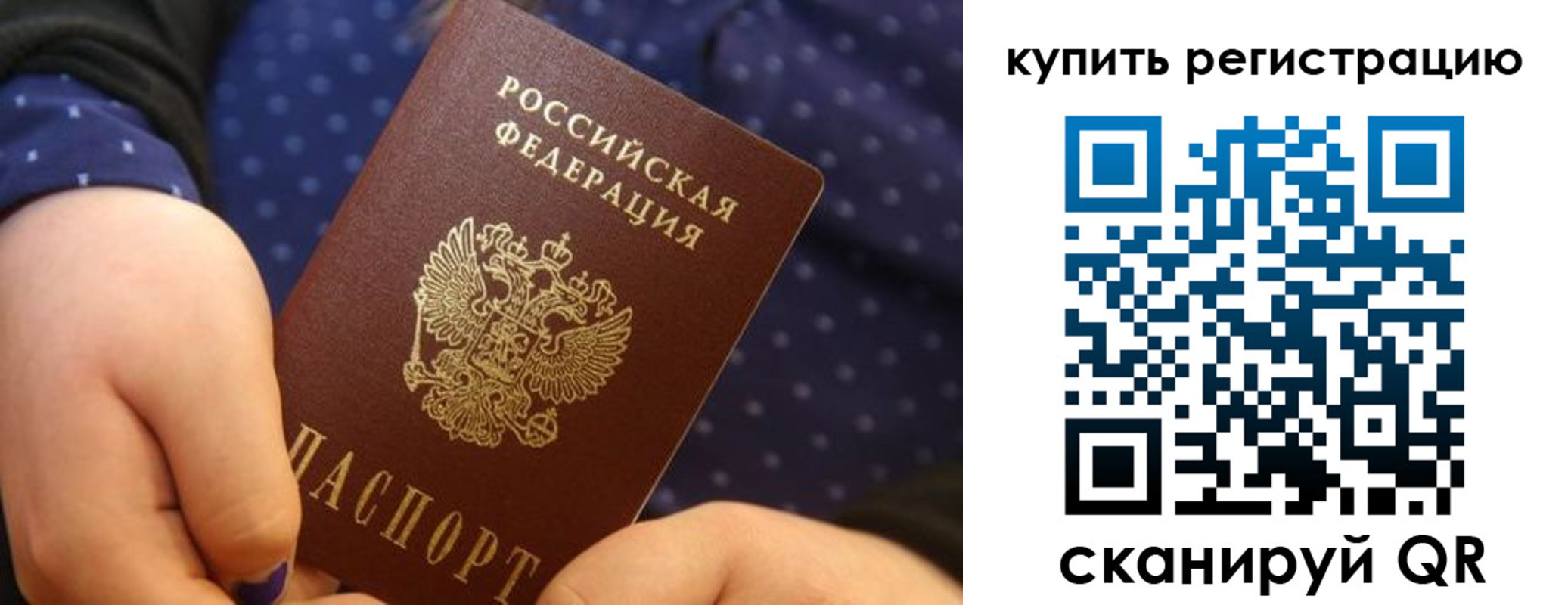 прописка поиск в Ростове